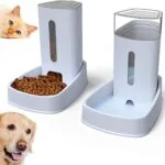 Cats & Dogs